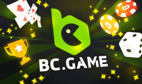 Discover the Joys of Entertainment with BC Fun Mirror