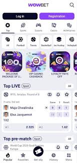 wowbet личный кабинет - Все, что нужно знать wowbet личный кабинет - Все, что нужно знать