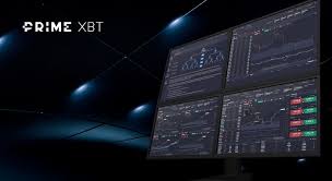 PrimeXBT Team Overview PrimeXBT Team Overview